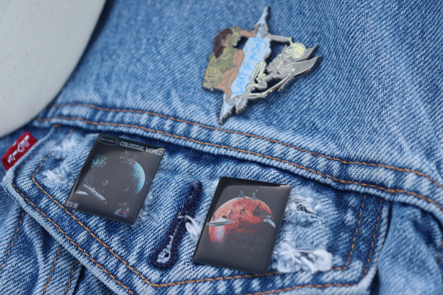What Do You See Pin